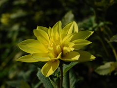DSCN0823