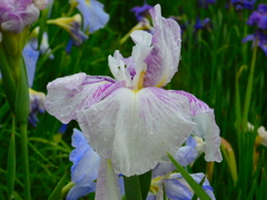 DSCN1836