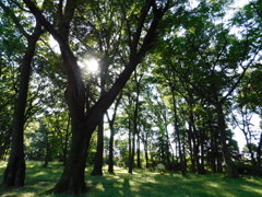 DSCN0830
