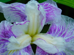 DSCN1881