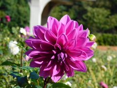 DSCN0816