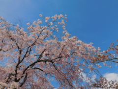DSCN0011