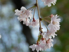 DSCN0002