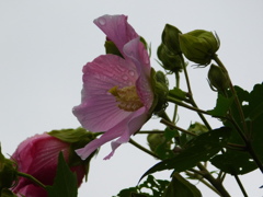 DSCN0434