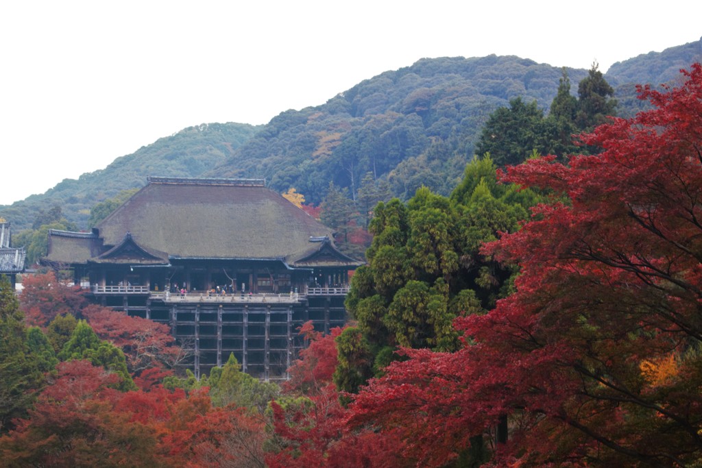 払暁の清水寺