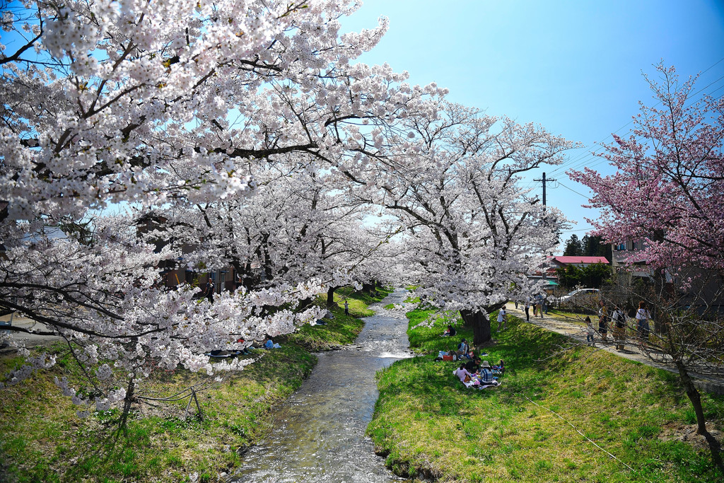 花見