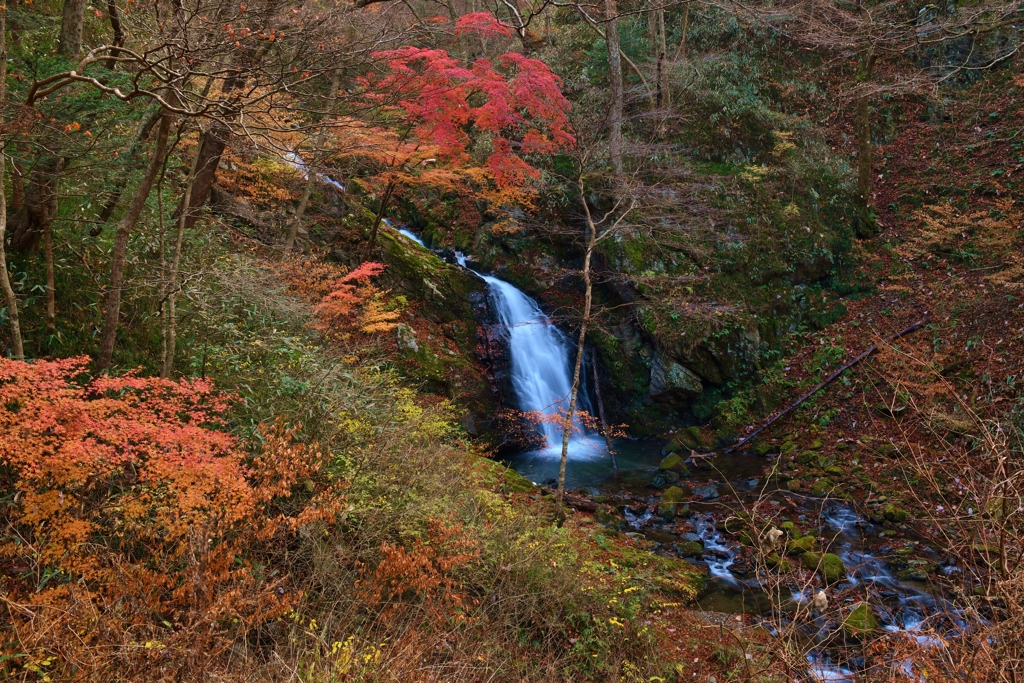 花滝