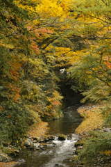 紅葉と川