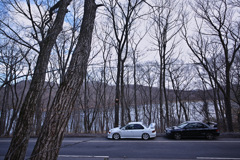SDIM1616