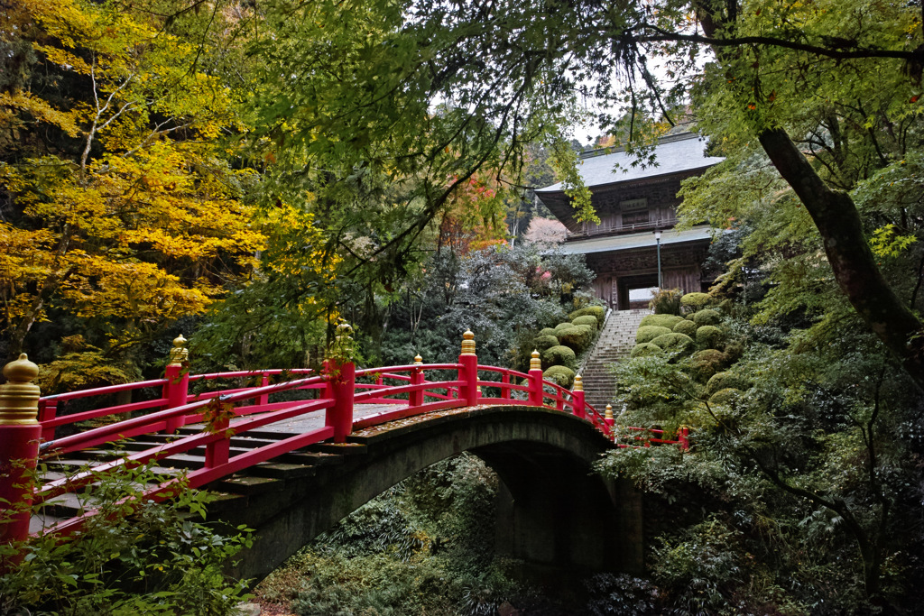 寺