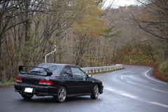 DP3M3649