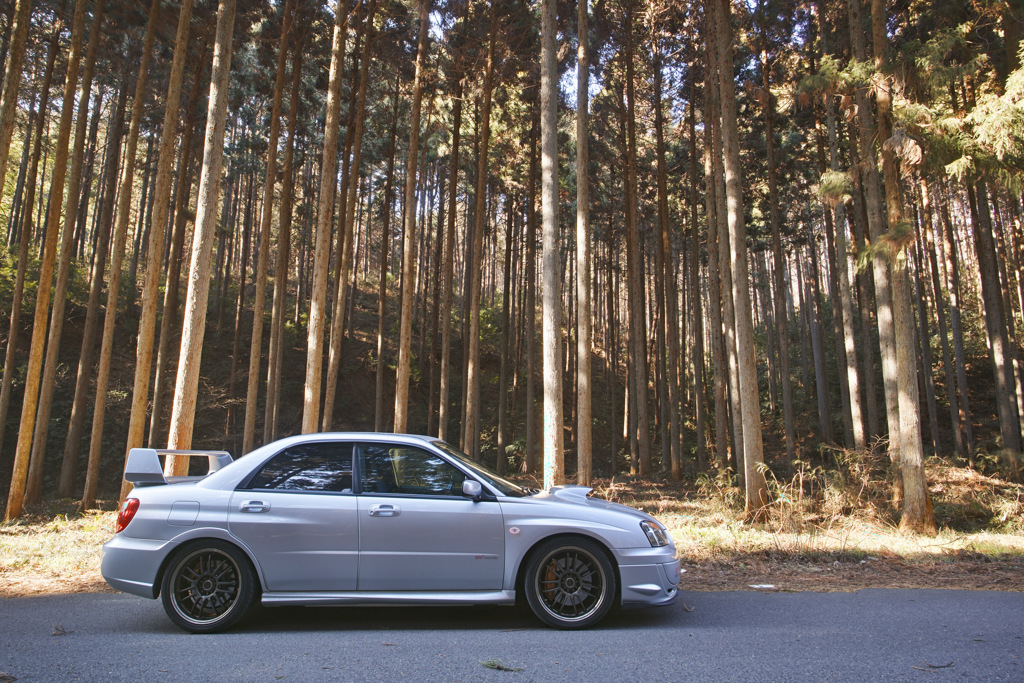 SDIM1475