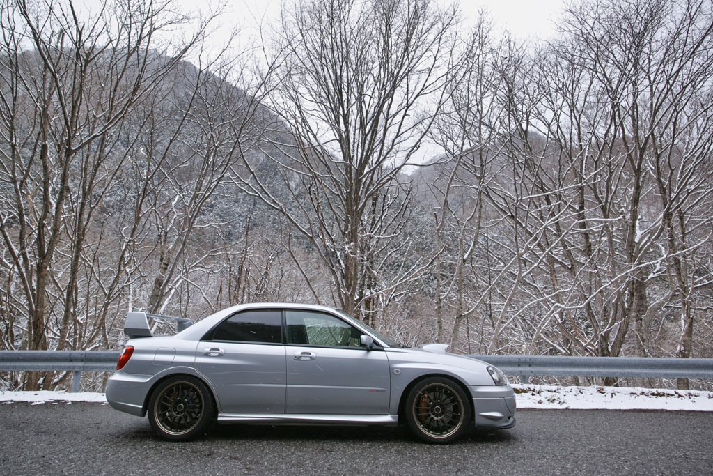 SDIM1465