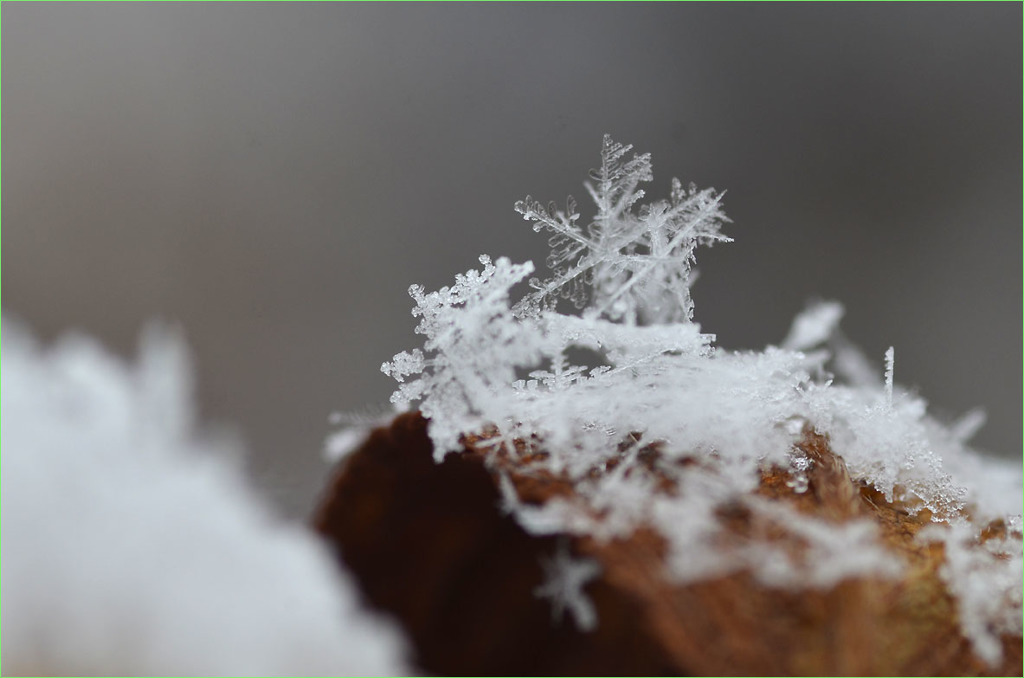 雪の結晶-2