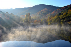 朝霧そして日差し-2