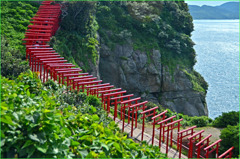 山口 元乃隅神社 -2