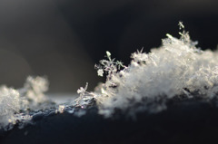 雪が降った