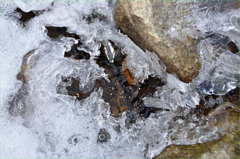 1)渓谷の氷を見ると春が来るのかな