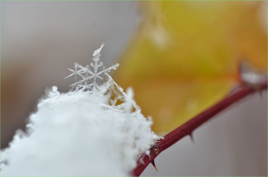 雪の結晶-3