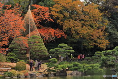 清澄庭園　紅葉見物