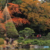 清澄庭園　紅葉見物