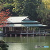 清澄庭園