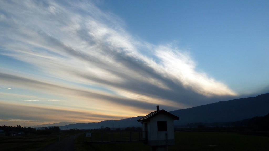 冬の空