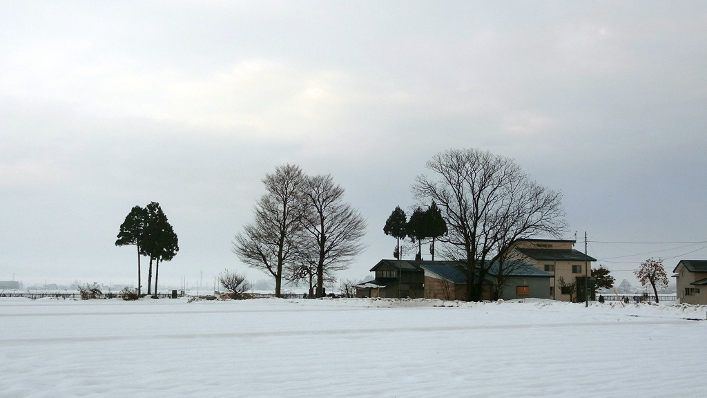 冬の風景