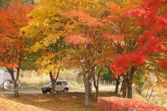 紅葉　ジムニー　川俣湖