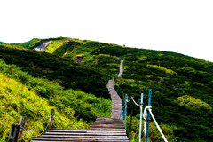 大山登山道
