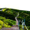 大山登山道