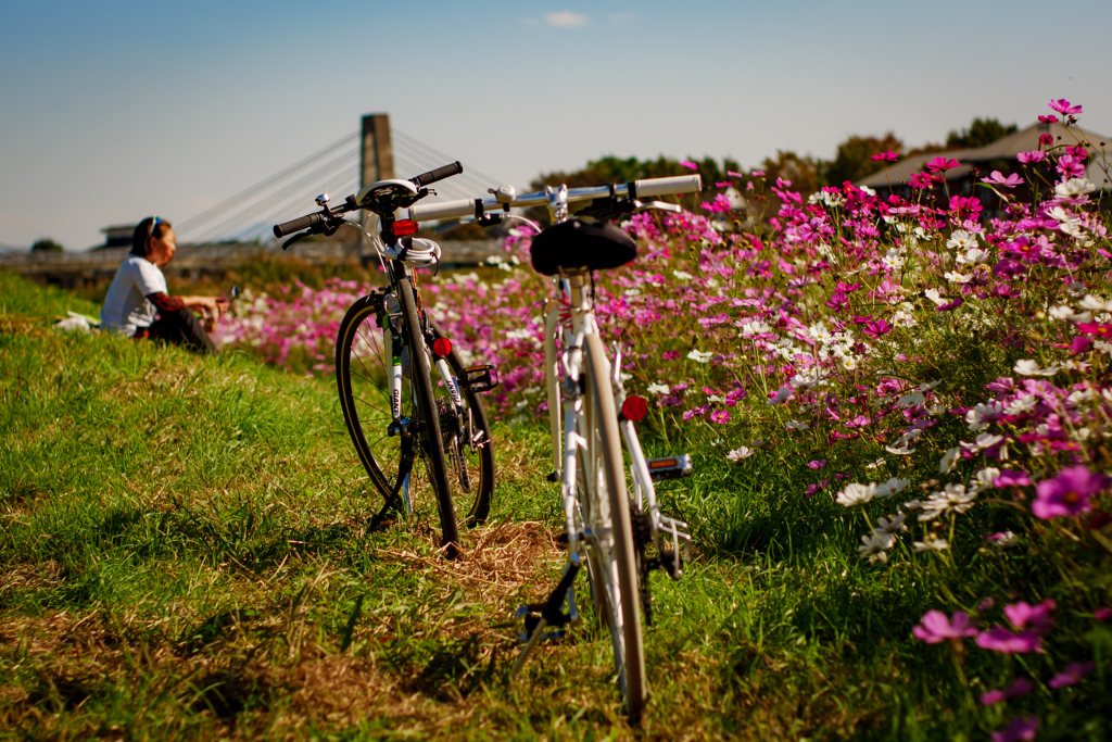 cyclists