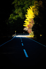 A7F6426B-F322-4FC3-9152-BDF52692F74F