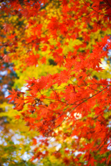 5F8A69E5-0B90-40E3-9674-C69B9D2F4234