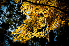 AC75959C-7EA9-4C95-B3E1-7CA58AB93B92