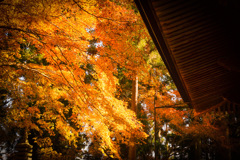 18CD1251-376D-471C-924F-81052BCEE2A7