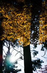 704F0516-06EF-4A26-A079-6531E83A38B9