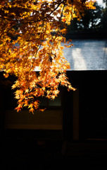 4B71EA21-2B35-4DD1-B657-B8FECEF24EB5