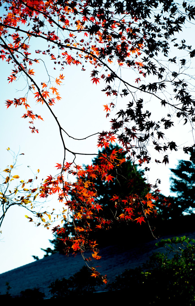 41E0D3E4-5758-4532-AC4C-AD3535F7B47F