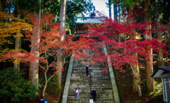 2DFE3173-6383-4472-9A7B-947A8545CF76