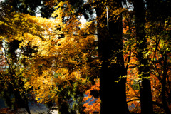 6A45FF00-0722-4B3F-8AE8-BC21BCE7ADB7