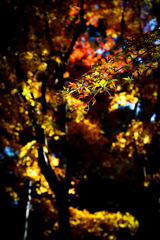 F8C97F8A-FFF6-4E90-85F5-11B3E539AFB4