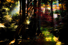 9ABEADE2-5C13-4868-B4C6-FF68CF790D28