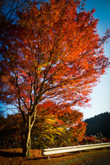 34AF8EEF-5B91-445B-8B35-C5DC471FA4D2