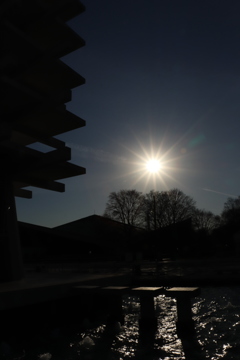 夕暮れの公園
