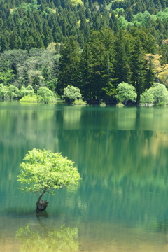 春の北竜湖