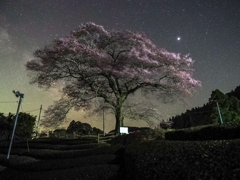 星空と一本桜