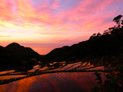 劇的夕焼