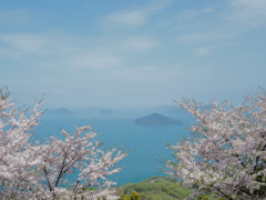 瀬戸内の海と桜
