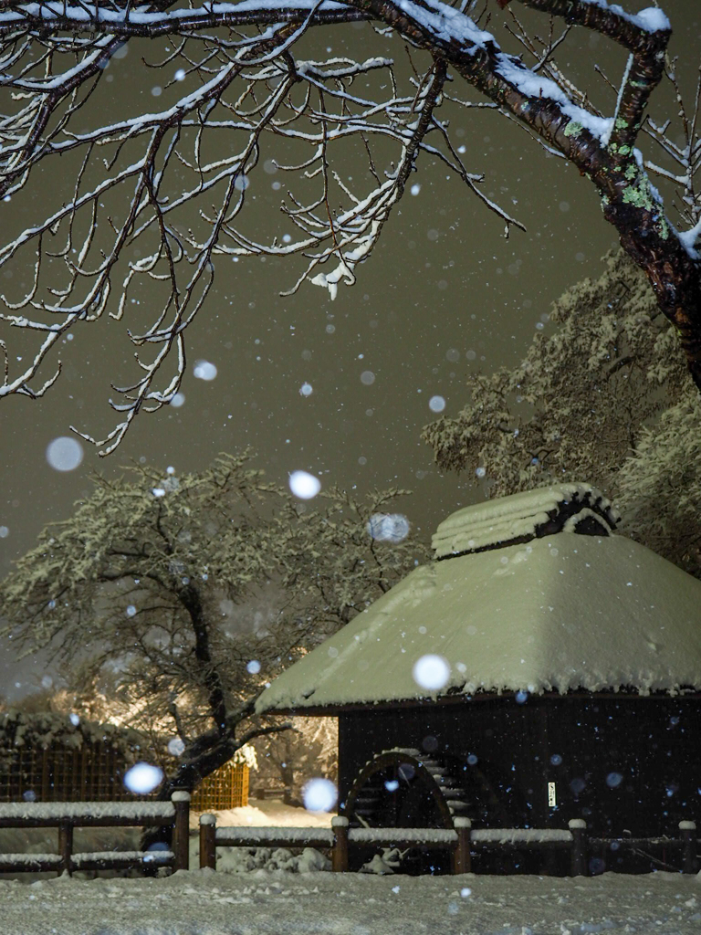 忍野八海 雪の夜
